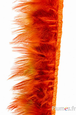 Franje Goudfazant - ver.-l. 6-8 cm - azteeksgoud